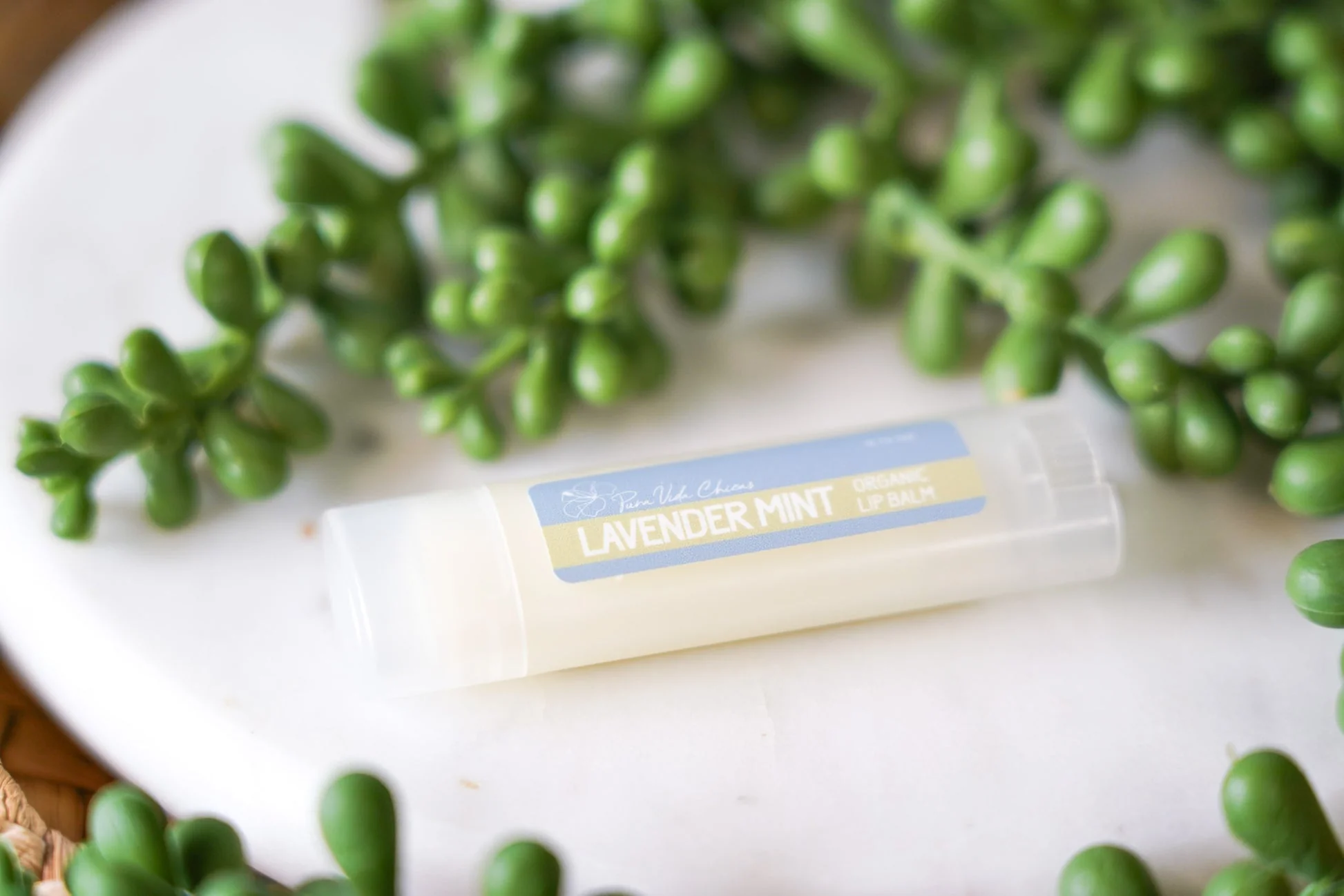 Lip Balm Collection - Image 3