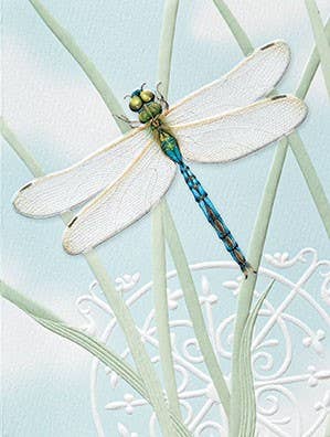 Petite Blank Note Cards - Image 4