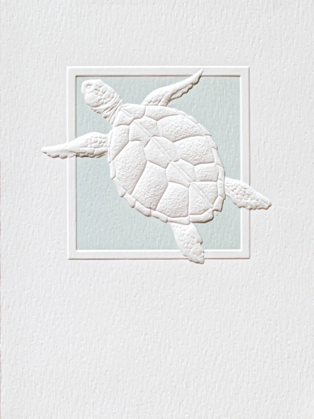 Petite Blank Note Cards - Image 5