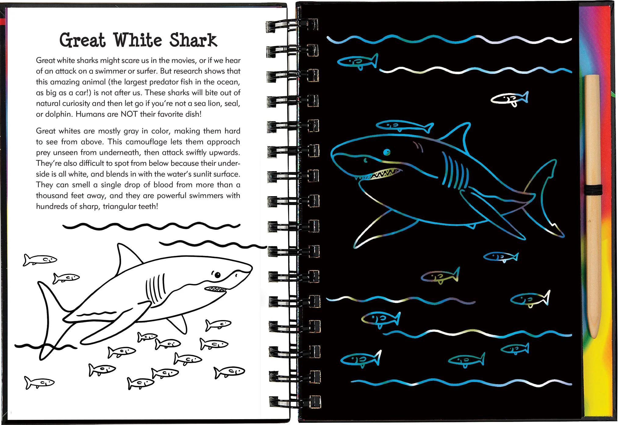 Scratch & Sketch™ Adventure Book - Image 28