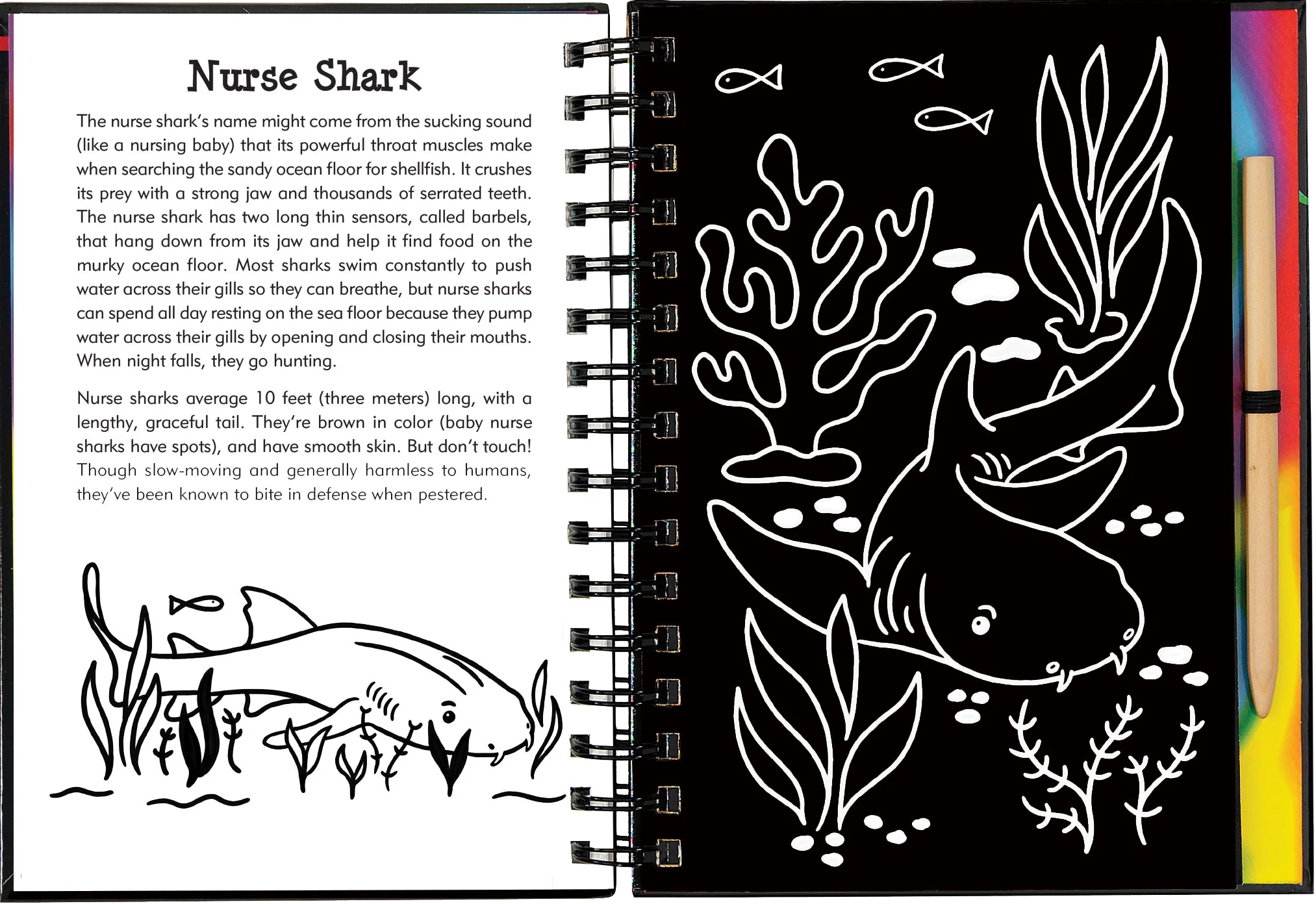 Scratch & Sketch™ Adventure Book - Image 29