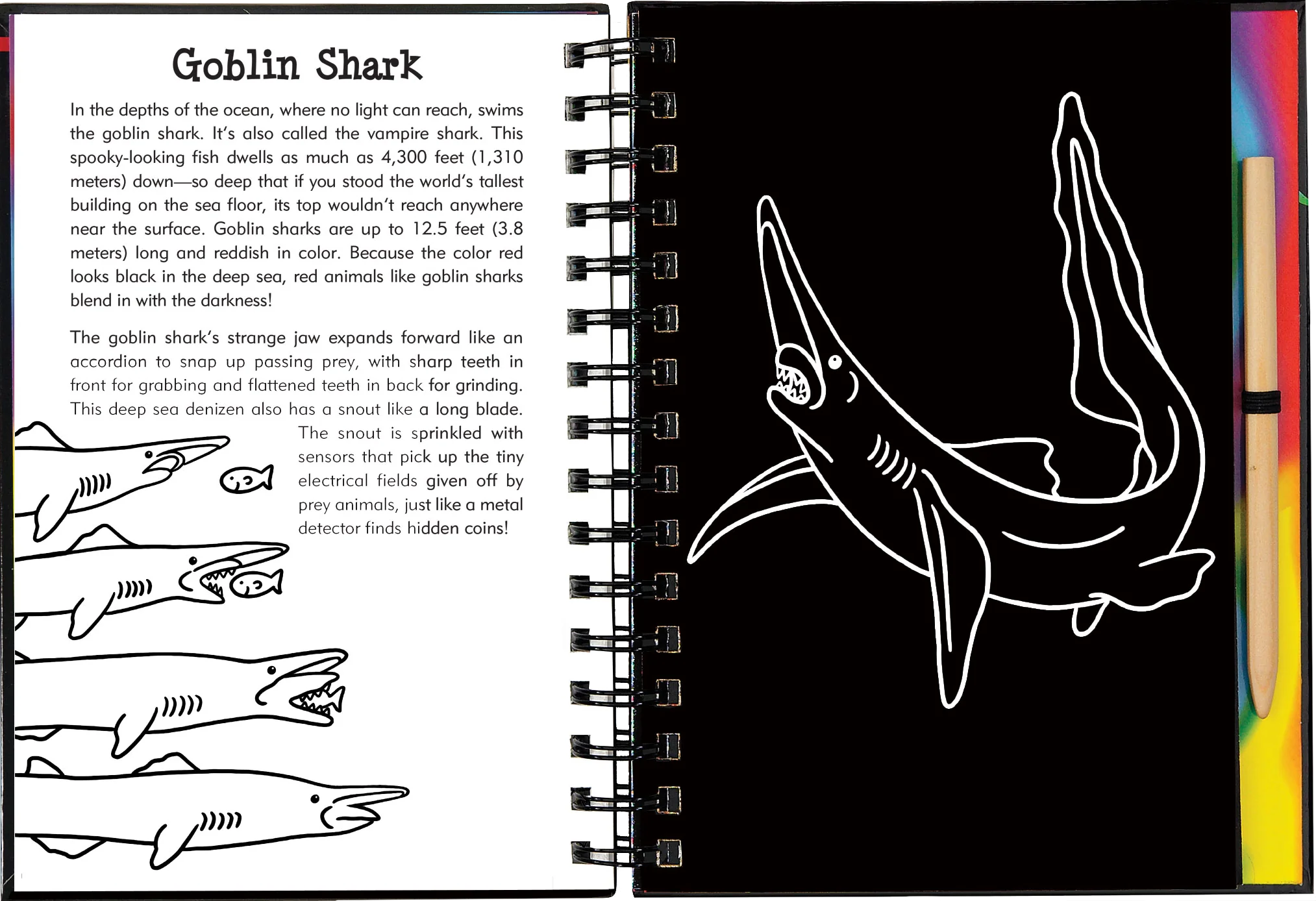 Scratch & Sketch™ Adventure Book - Image 30