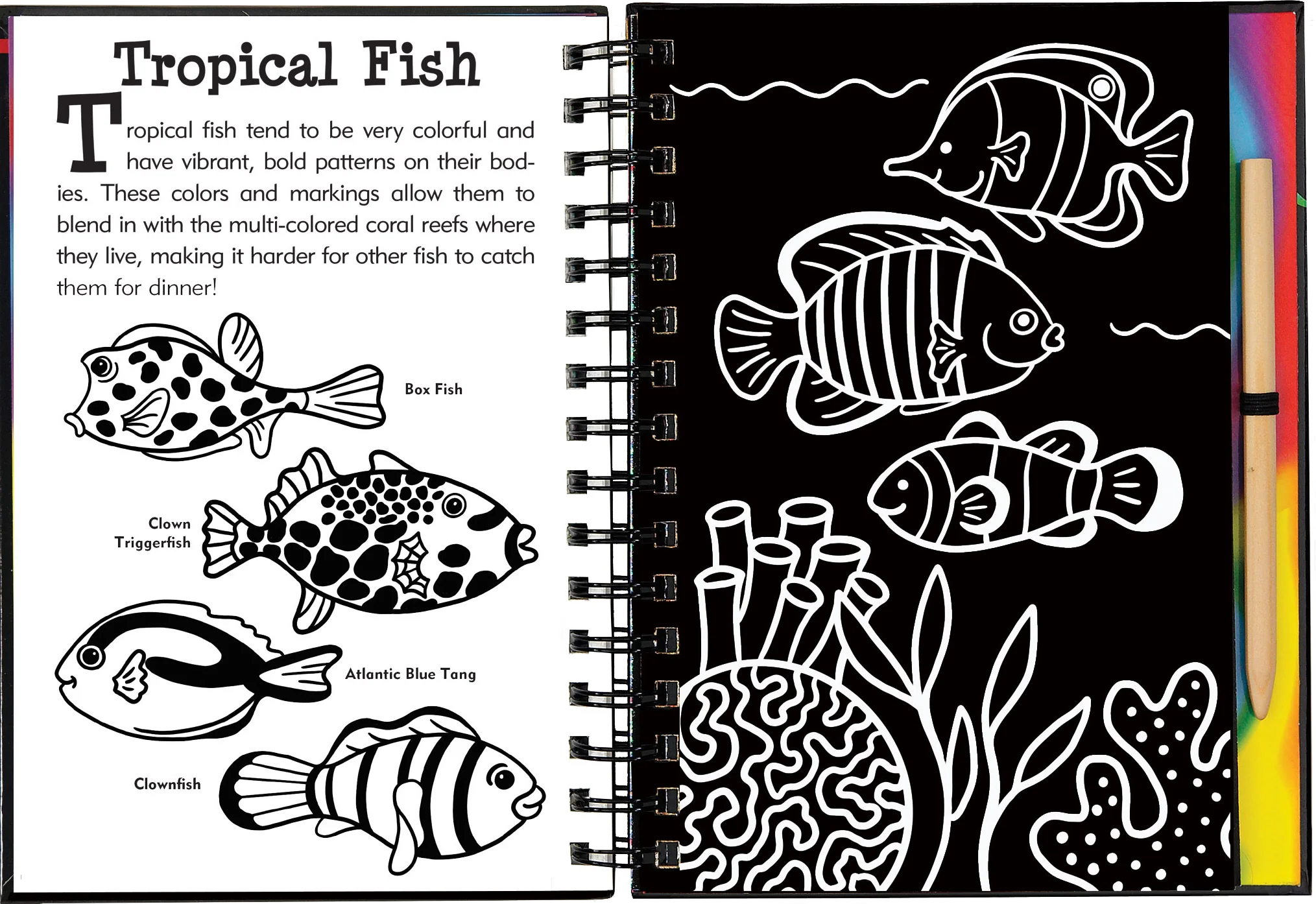 Scratch & Sketch™ Adventure Book - Image 35