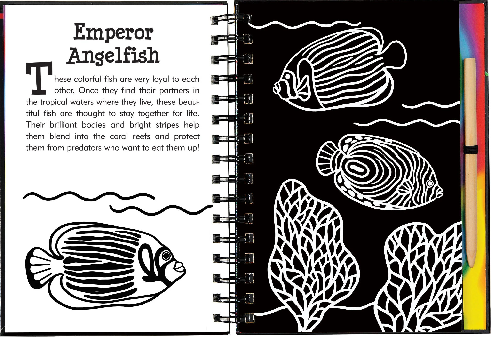 Scratch & Sketch™ Adventure Book - Image 36