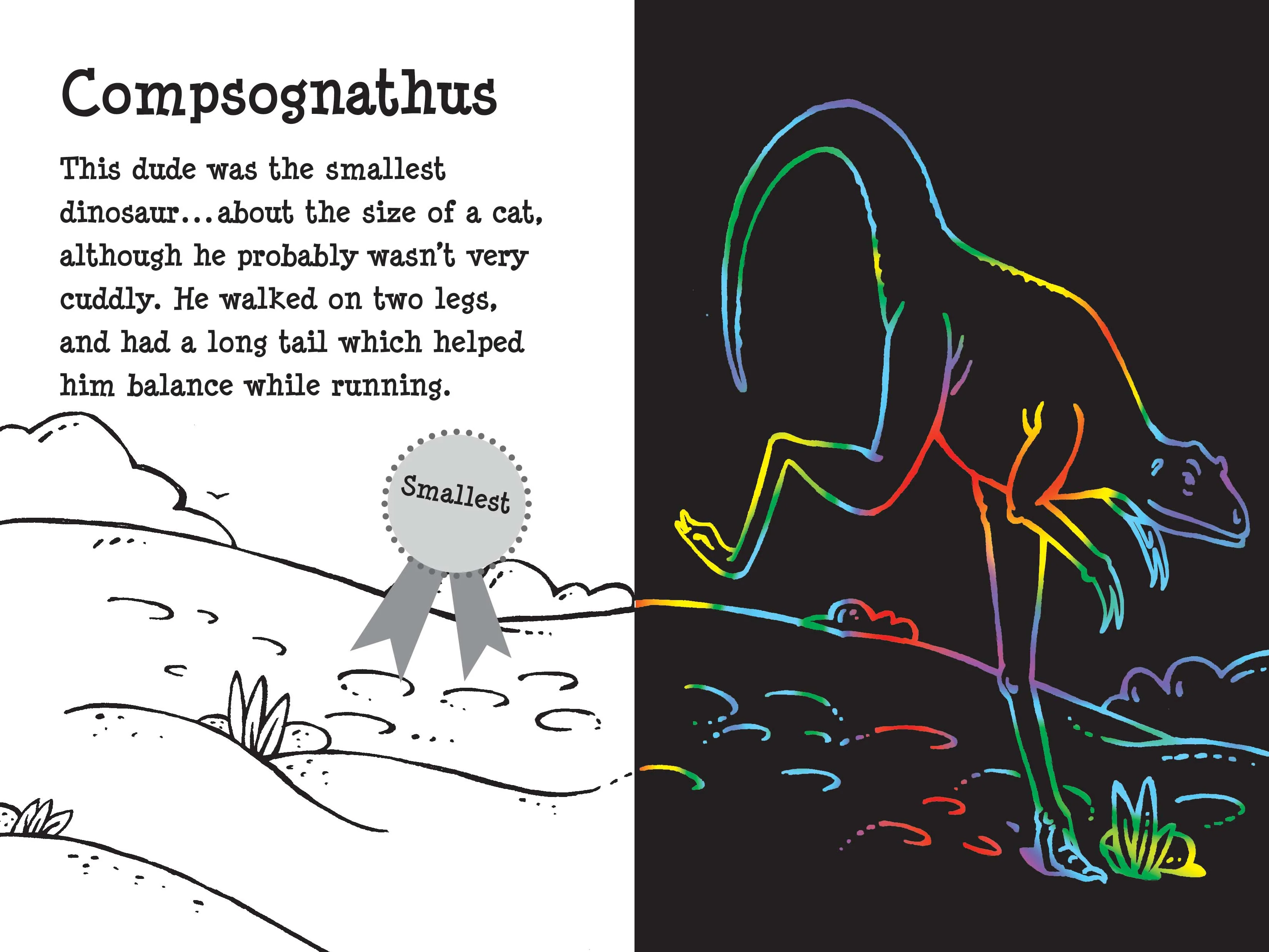 Scratch & Sketch™ Adventure Book - Image 39